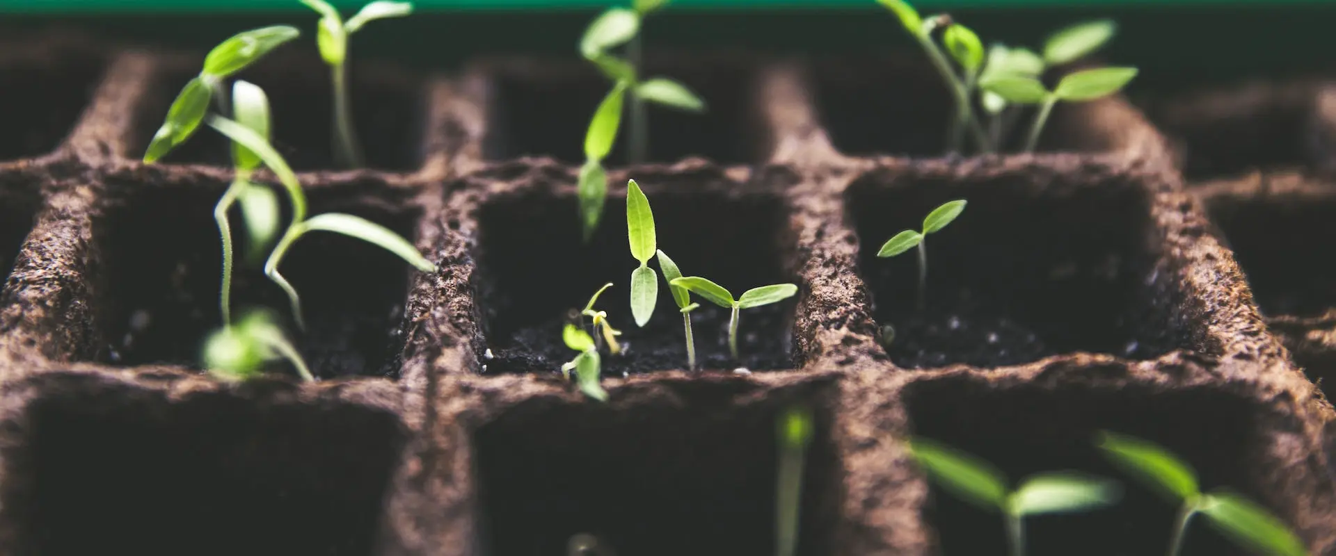 Terres Agroécologique