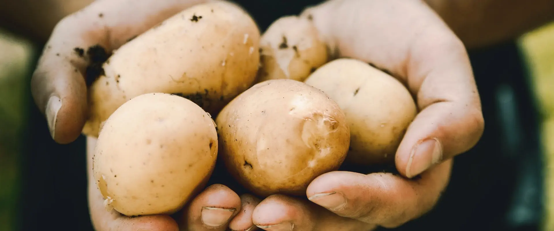 Terres Agroécologique
