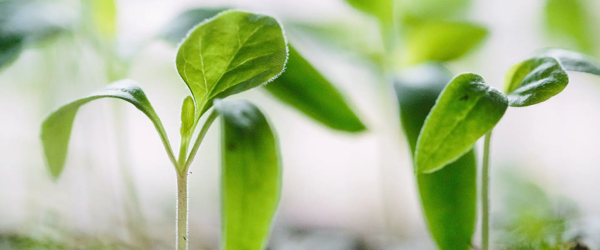 Terres Agroécologique