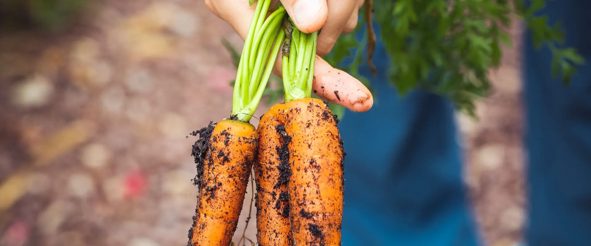 Terres Agroécologique