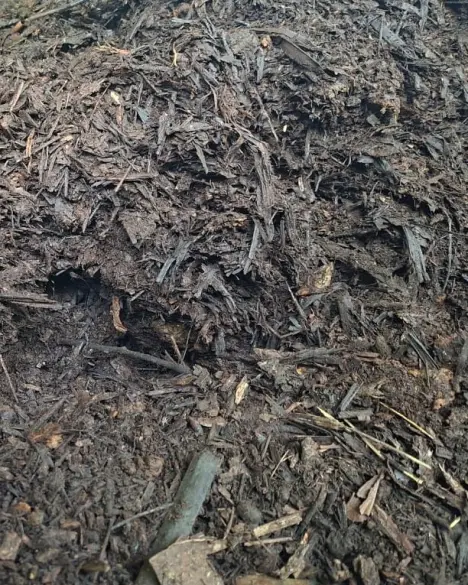 Matière Organique (Végétal)