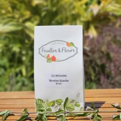 Photo of product Brisée (Verveine blanche)
