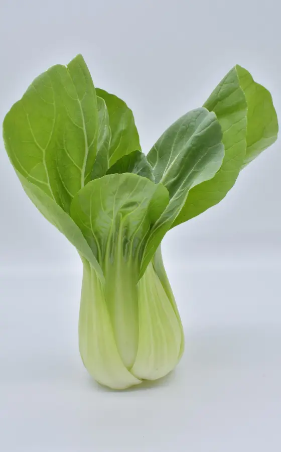 Photo of product Brede tom pouce