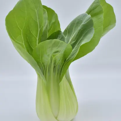 Photo of product Brede tom pouce