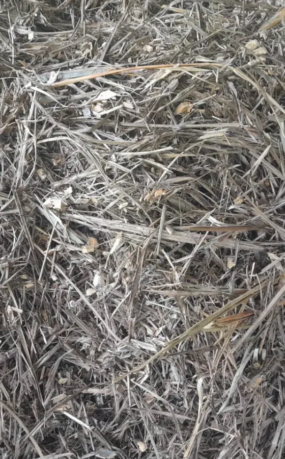 Photo of product Paillage Palmiste (Sac de 30L) - 100% feuilles de Palmiste