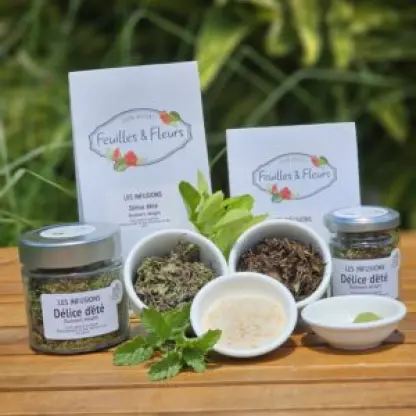 Photo of product Délice d'été