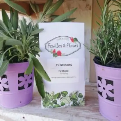 Photo of product Fortifiante