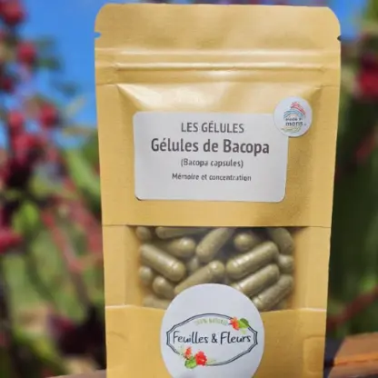 Photo of product Gélule Bacopa
