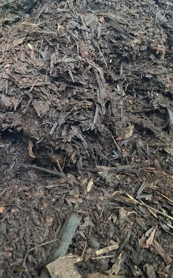 Photo of product Compost Végétal 