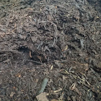 Photo of product Compost Végétal 