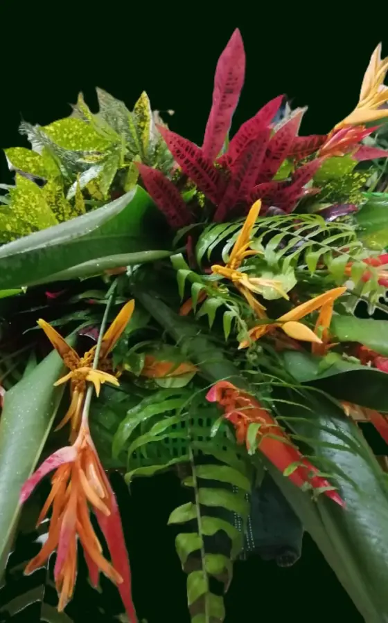 Photo of product Bouquet