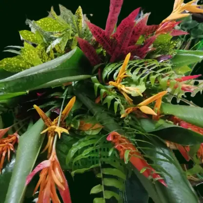 Photo of product Bouquet