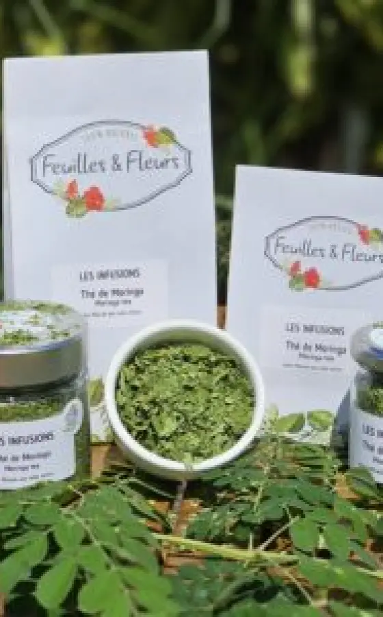 Photo of product Thé Moringa