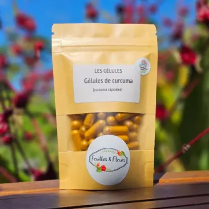 Photo of product Gélules curcuma