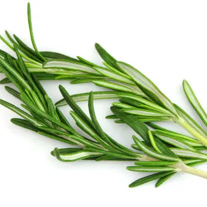 Photo of product Romarin