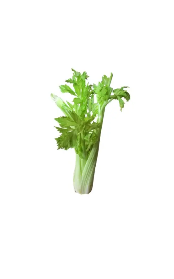 Photo of product Celeri