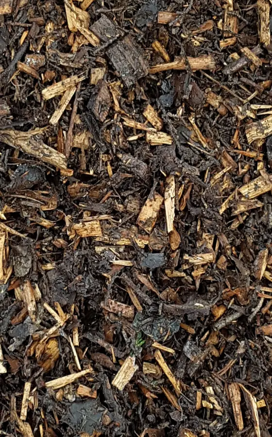 Photo of product BRF (Bois Raméal Fragmenté)  (Sac de 30L) - Mélange de rameaux frais de feuillus Gros feuilles, bois d'oiseau, albizia