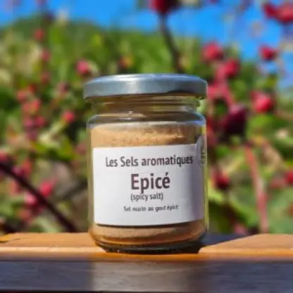Photo of product Sel aux Épices
