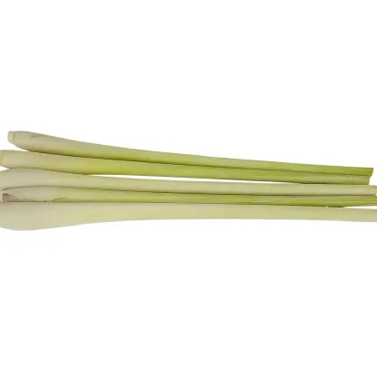 Photo of product Citronnelle