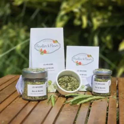 Photo of product Bois de Reinette